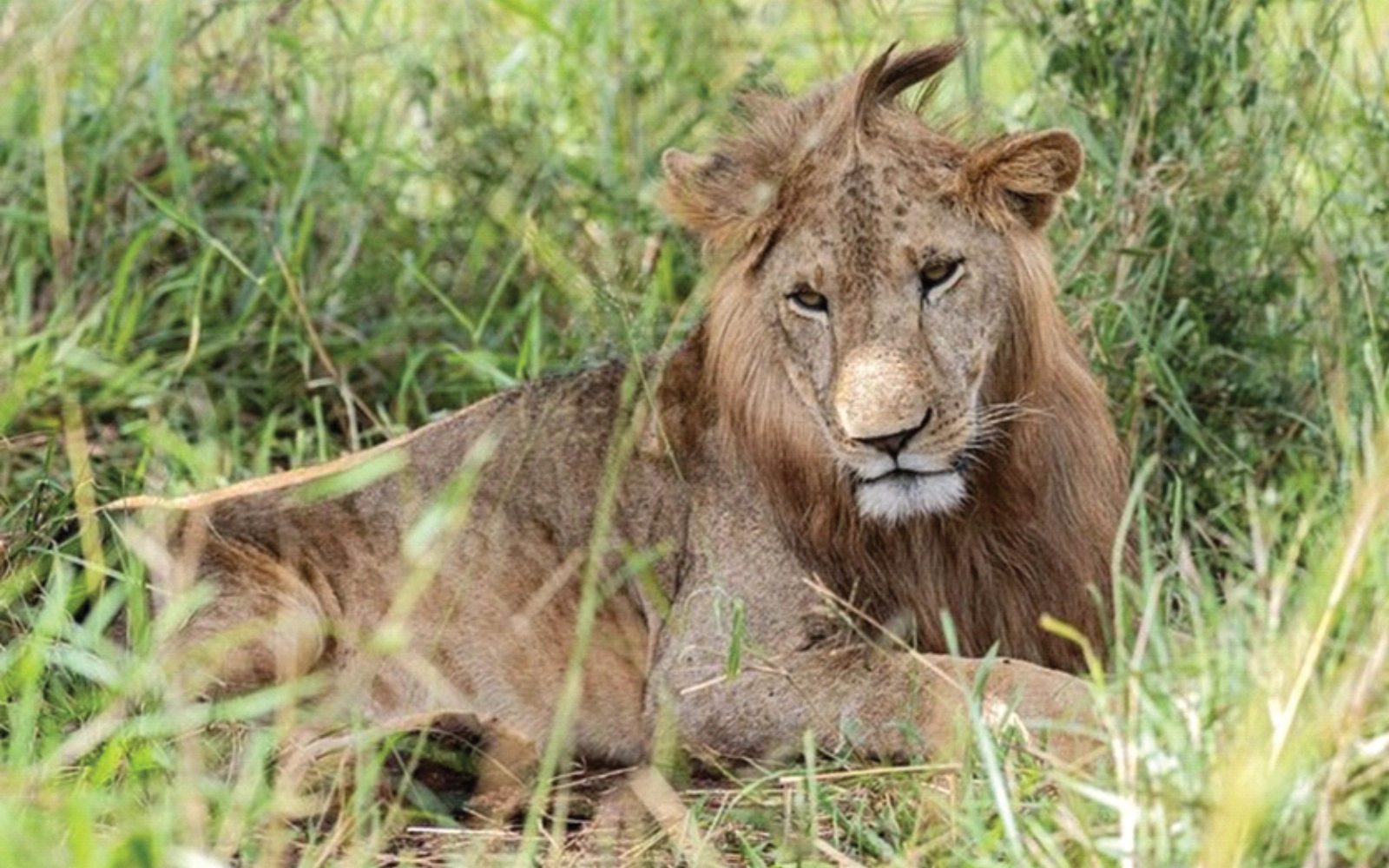 15 Days Around Uganda Safari