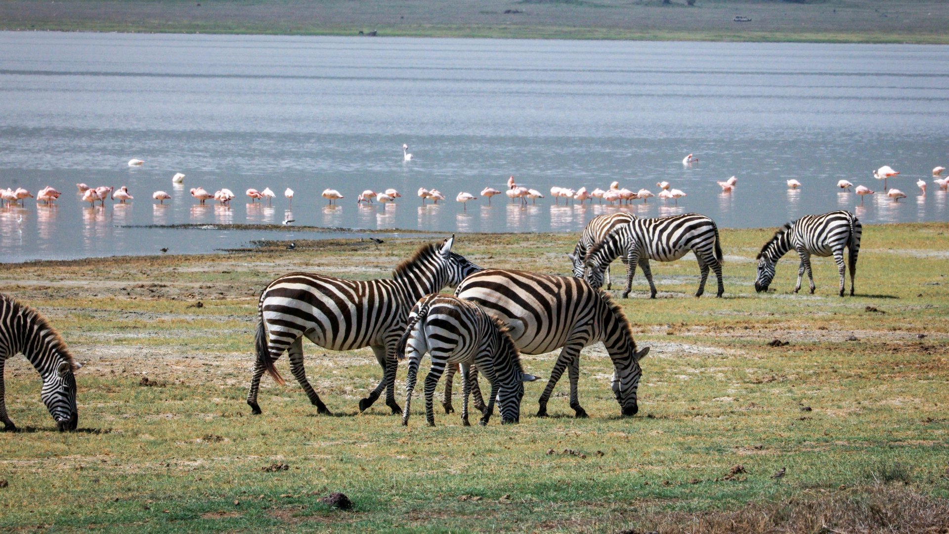 Tanzania