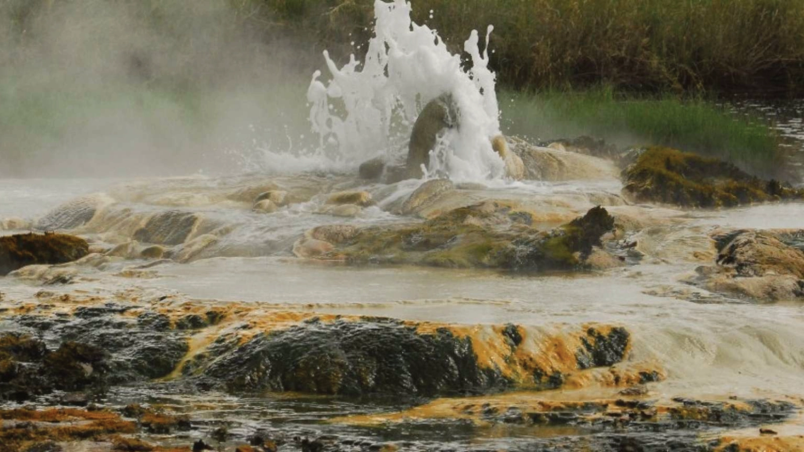 Full Day Game Drives & Hot Springs Walk