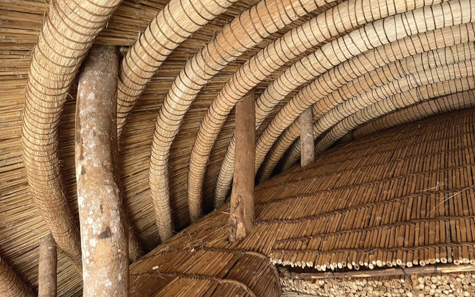 Kabaka's Trail — Kasubi Tombs, Kabaka's Lake & Naggalabi Coronation Site