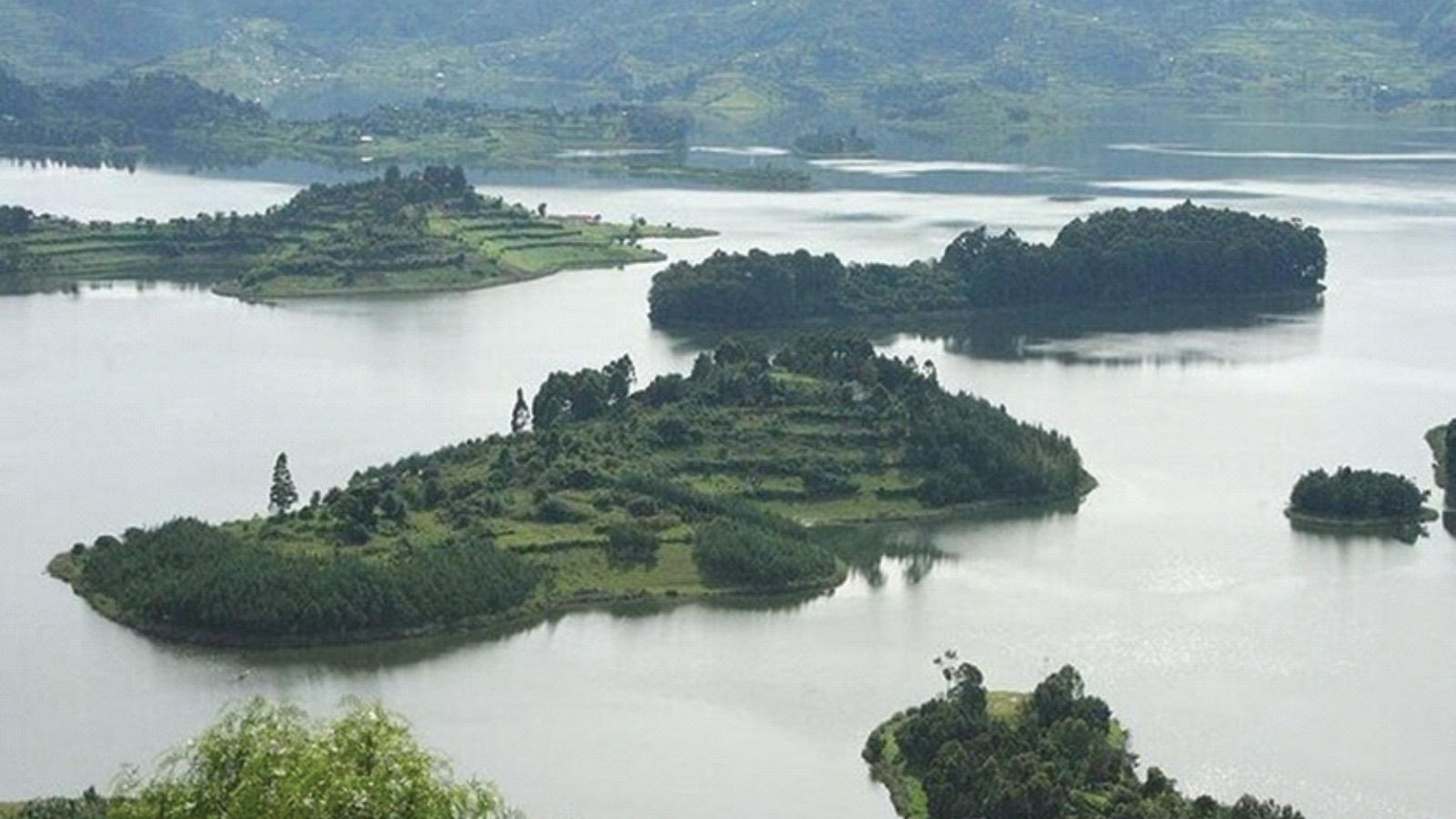 3 Days Gorilla Tracking & Canoe Ride at Lake Bunyonyi